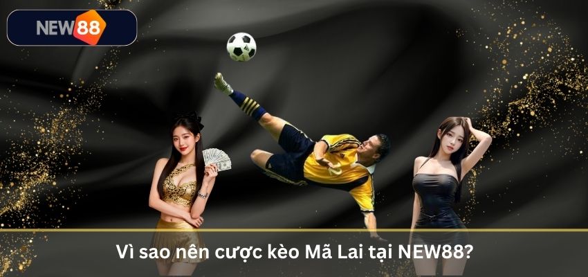 Vì sao nên cược kèo Mã Lai tại NEW88?